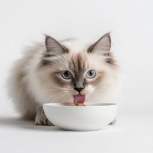 Les chats peuvent-ils consommer de la ciboulette ?