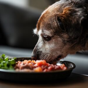 Les chiens peuvent-ils manger des os ?