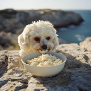 Pourquoi les raisins sont-ils à éviter pour le chien et le chat