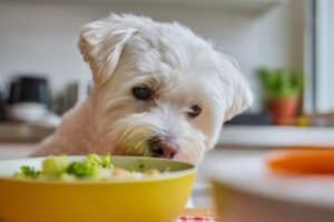 Le chien peut-il manger des bananes ?