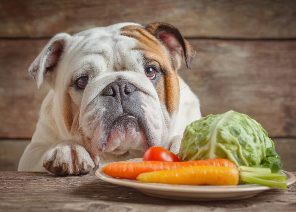 Les chiens peuvent-ils manger des bananes ?