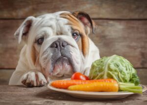 Les chiens peuvent-ils manger des bananes ?