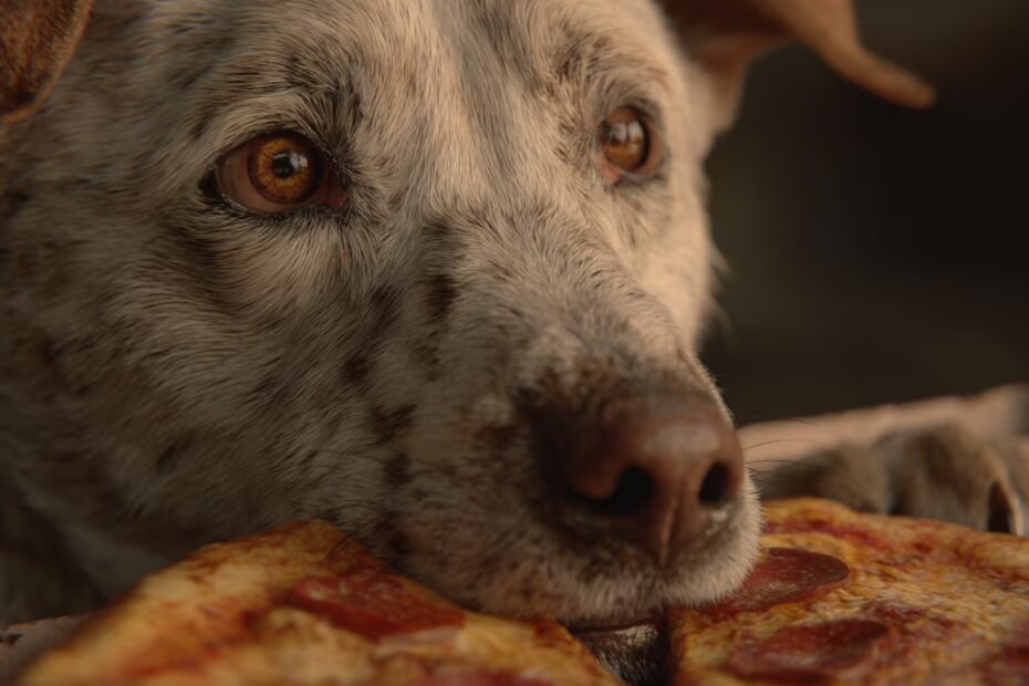 mon chien peut il manger des cacahuetes