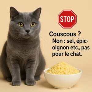 le chat et le couscous