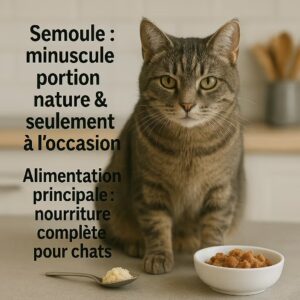 le chat peut-il manger du couscous