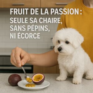 Chien observant une main qui dépose la pulpe de fruit de la passion sur une soucoupe, mention : seule la chair sans pépins ni écorce